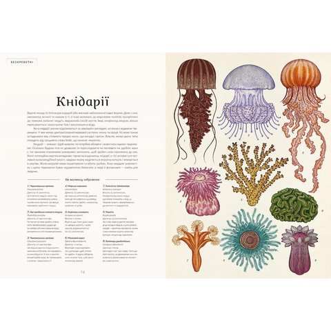 Книга "Анімаліум" - Брум Дженни Превью 4